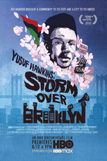 Storm Over Brooklyn (Storm Over Brooklyn)