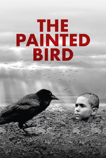 O Pássaro Pintado - Poster / Capa / Cartaz - Oficial 1