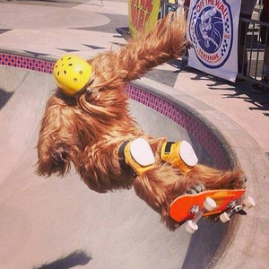 Foto de perfil de AMJ