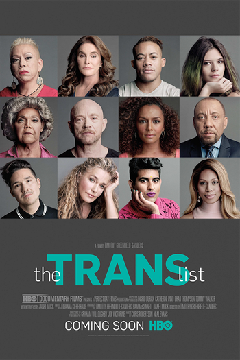 Poster de Filme The Trans List (2016)