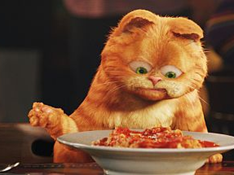 Foto 11 de Garfield 2