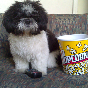 Foto de perfil de Valeria Ferreira da S. Rettore