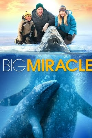  de Filme O Grande Milagre (2012)