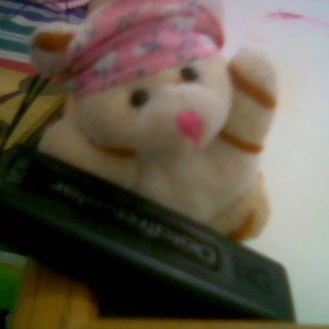 Foto de perfil de Karina Régia Dias