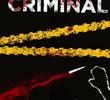 Investigação Criminal (4ª Temporada)