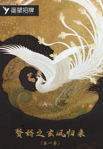 Zhui Xu Zhi Xuan Feng Gui Lai (赘婿之玄凤归来)
