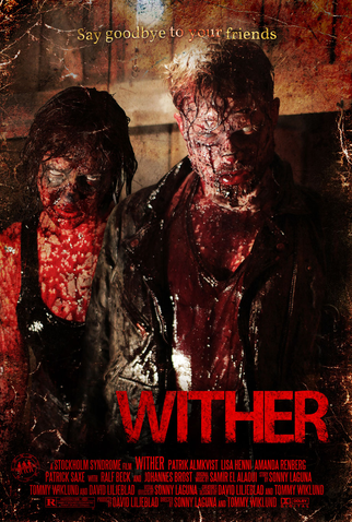 Poster 2 de Filme Wither: A Casa do Demônio (2013)