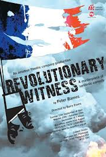 Revolutionary Witness - Poster / Capa / Cartaz - Oficial 1
