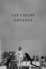 Les chiens savants (Les chiens savants)