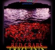 Red Crabs Crazy Ants