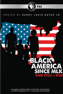 O Movimento Negro Desde Martin Luther King - Poster / Capa / Cartaz - Oficial 2