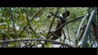 Trailer: Addio Zio Tom - TRAILER - Gualtiero Jacopetti, Franco Prosperi