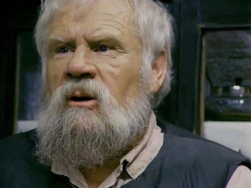 Foto 11 de The Red Snowball Tree 