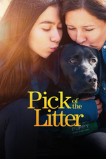 Pick of the Litter (Pick of the Litter)