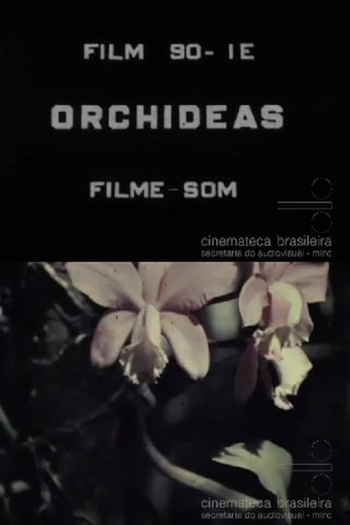 Poster de Curta Orquídeas (1937)