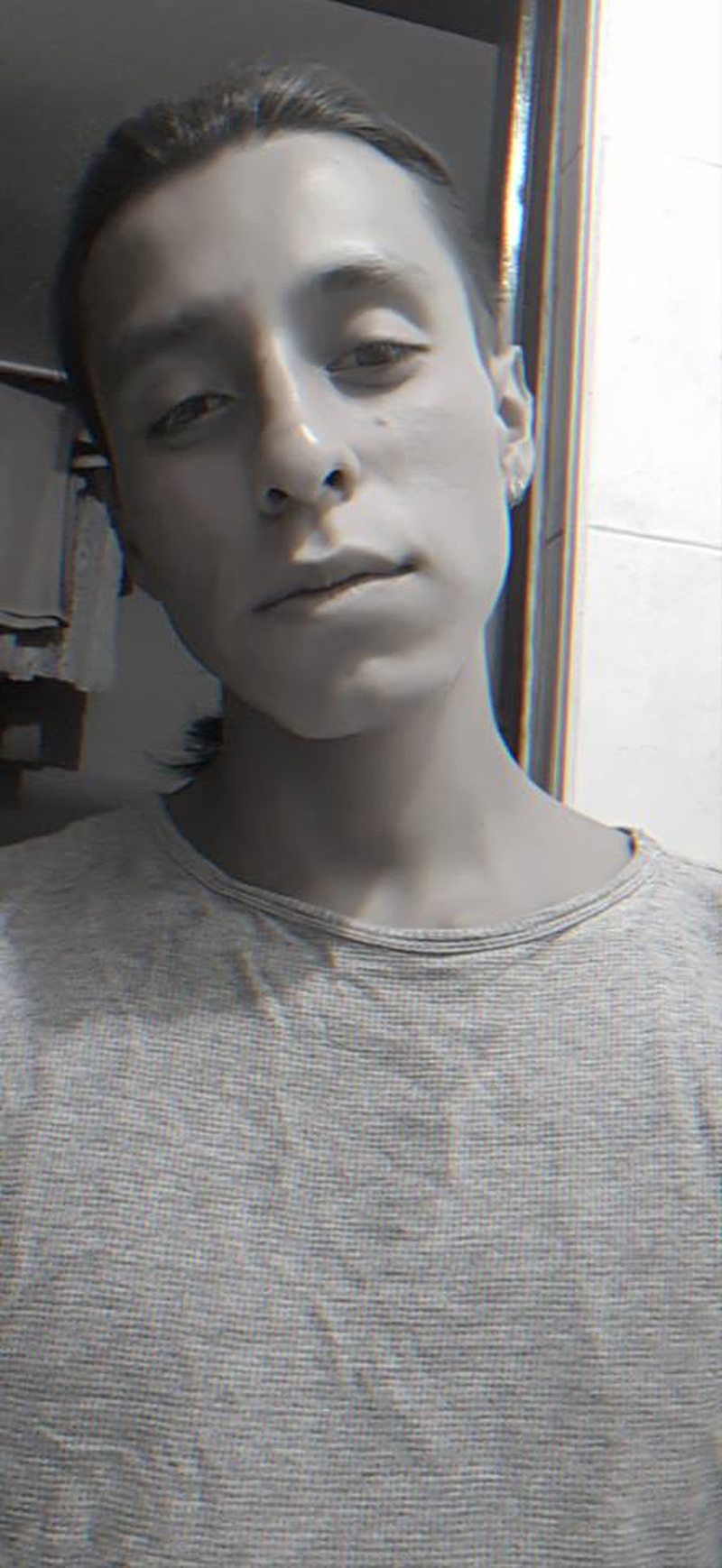 David - Foto 1