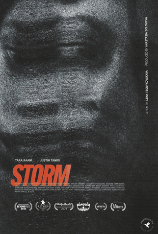 Poster 1 de Curta Storm (2023)