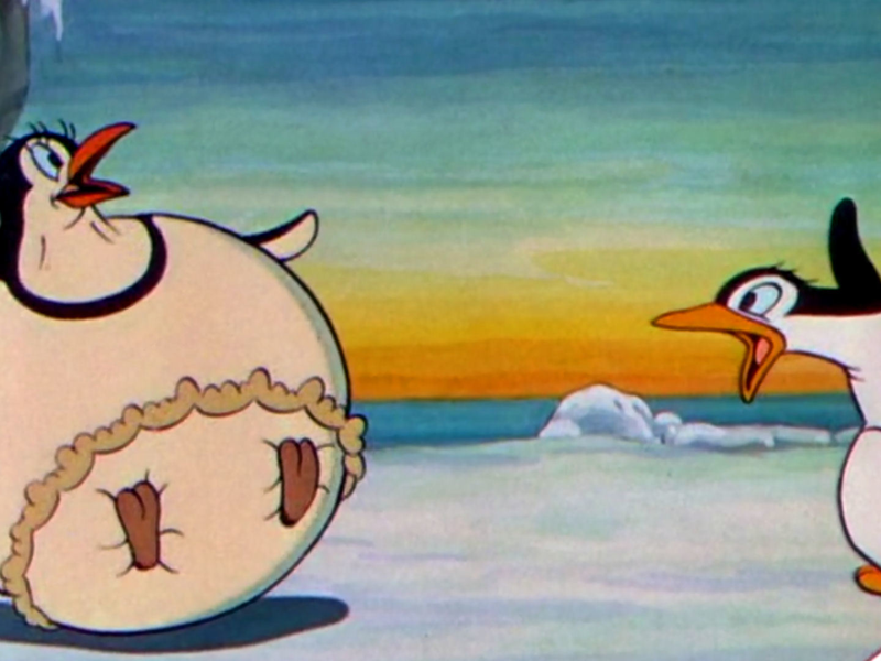 Foto 1 de Os Pinguins