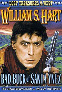 Bad Buck of Santa Ynez - Poster / Capa / Cartaz - Oficial 1