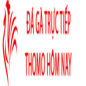 Foto de perfil de Đá Gà Trực Tiếp Thomo Hôm Nay