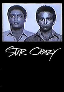 Fuga Maluca (Stir Crazy)