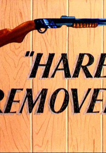 O Médico e o Coelho (Hare Remover)