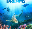 Ocean Dreams