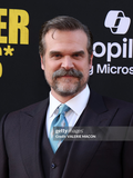 David Harbour (I)