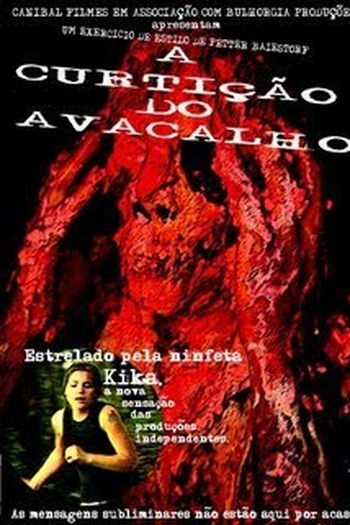 Poster de Filme A Curtição do Avacalho (2006)