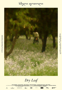 Folha Seca (Xmeli Potoli)