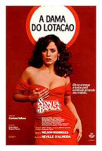 A Dama do Lotação - Poster / Capa / Cartaz - Oficial 1