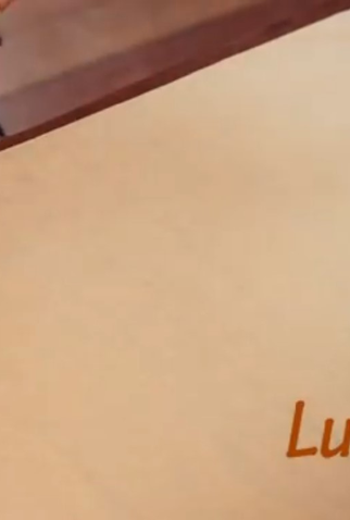 Poster 1 de Filme Luiza (2011)