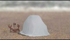 Crab from Birdbox Studio