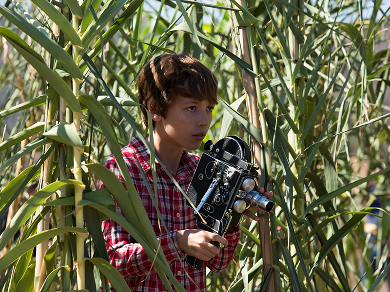 Foto 6 de A Entidade 2