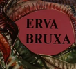 Erva Bruxa