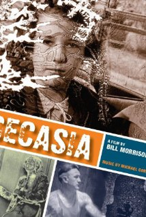 Decasia - Poster / Capa / Cartaz - Oficial 1