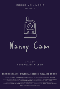 Nanny Cam - Poster / Capa / Cartaz - Oficial 1