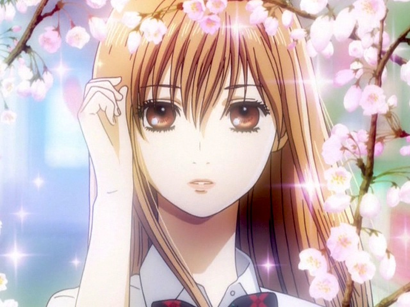 Foto 10 de Chihayafuru (1ª Temporada)