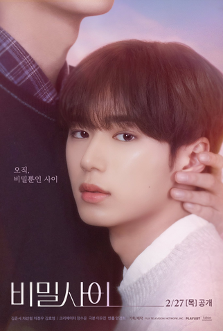 Poster 2 de Série Secret Relationships (2025)