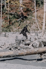 Bigfoot (Patterson-Gimlin Film)
