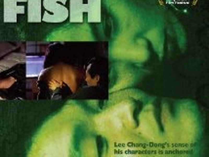 Foto 2 de Green Fish