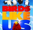 Birds Like Us