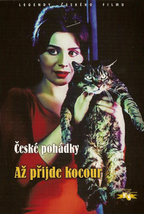 Um Dia, Um Gato - Poster / Capa / Cartaz - Oficial 1
