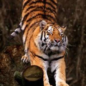 Foto de perfil de Ana Luiza