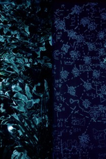 Mélodie pour Agnés (Mélodie pour Agnés)