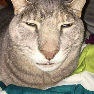 Foto de perfil de jermaine