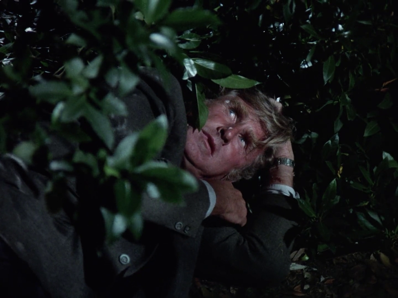 Foto 3 de The Deadly Dream