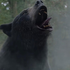 Assista ao trailer do longa O Urso do Pó Branco
