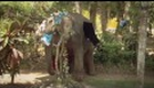 Chandani und ihr Elefant - Trailer deutsch