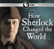 How Sherlock Changed The World
